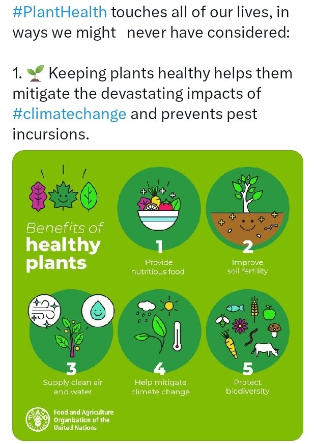 Happy plant health day
#lookafter plants.