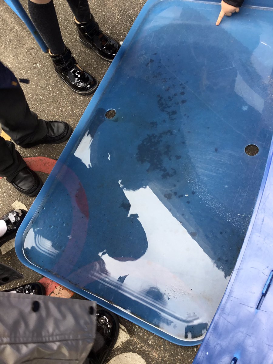 QRA_2029Y2's tweet photo. Today we have been finding our reflection in the different areas in our outdoors environment. We had to use our problem solving skills to understand why we could only see our reflection in certain objects and not others. 

#qrahappy #qraphse https://t.co/IYJj7SMVxS