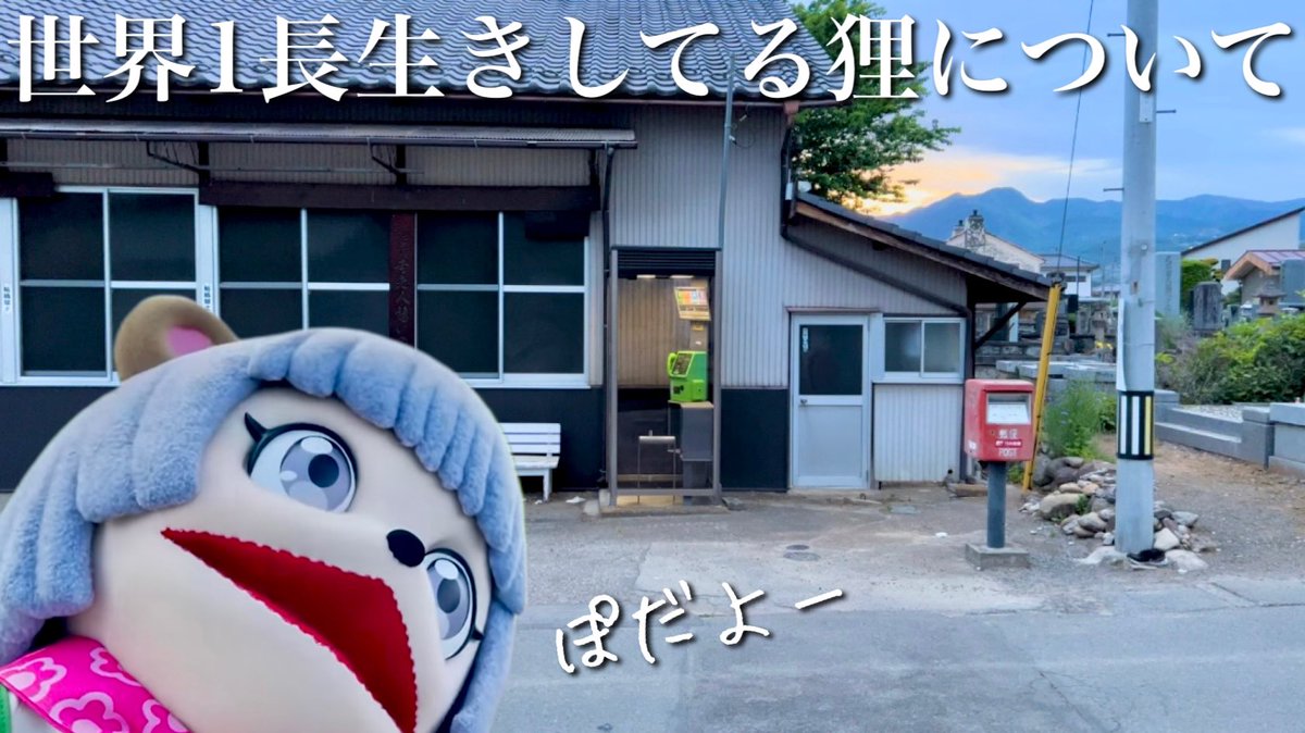 PatriziaYouTube's tweet photo. 動画をupしました！

【205歳】甲賀流忍者ぽんぽこさんについて
⬇️⬇️

https://t.co/cGvfBN3Ria

 #ぽんぽこかしこい #ぽこピー https://t.co/25fhgw2JNs