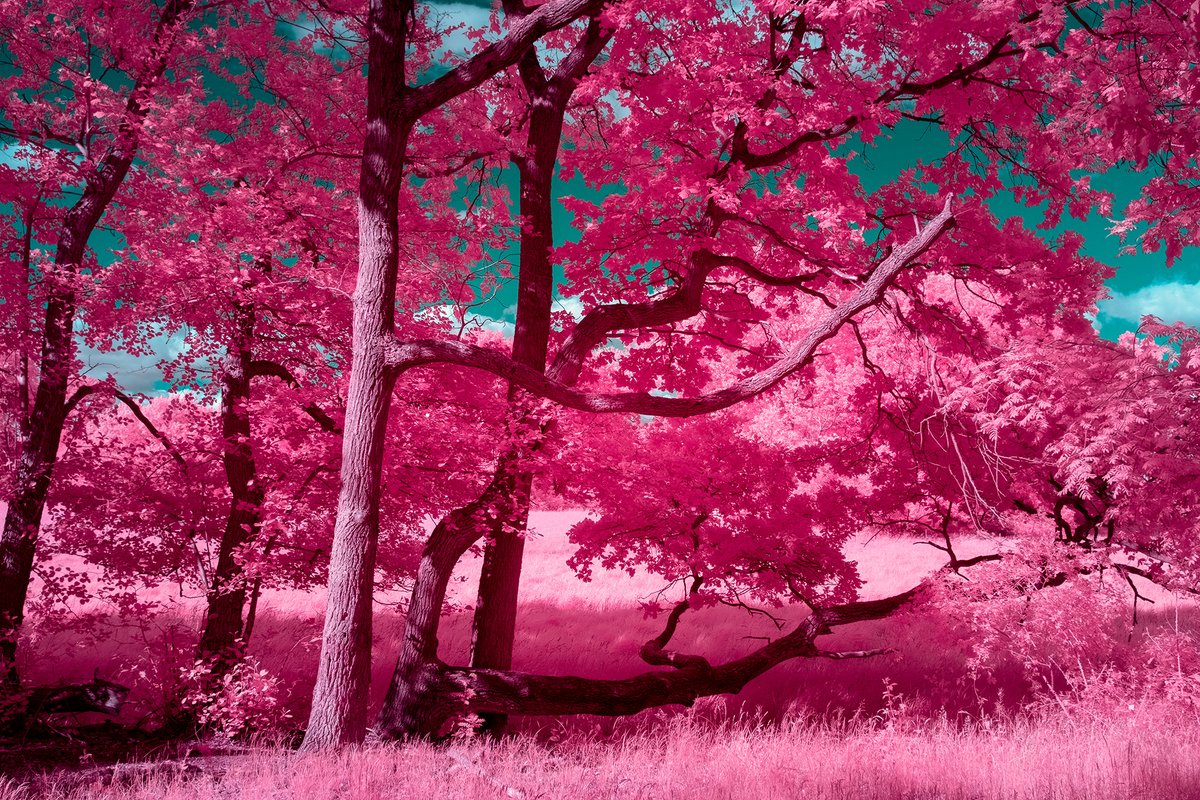 GM 

Open Edition Live   

OE for "Mystical Whispers of the Land" can ONLY be collected for a LIMITED time!   

0.008 ETH   

■Top 1 holder get a new NFT airdropped!  
 
■Retweet for a chance to get 1 FREE!!   

- Link Below-