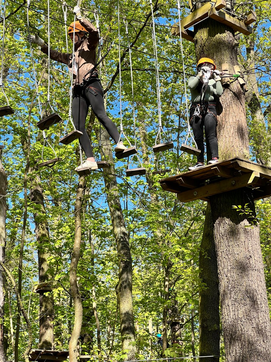 Hivemind Technologies AG ☁️💾 tweet media