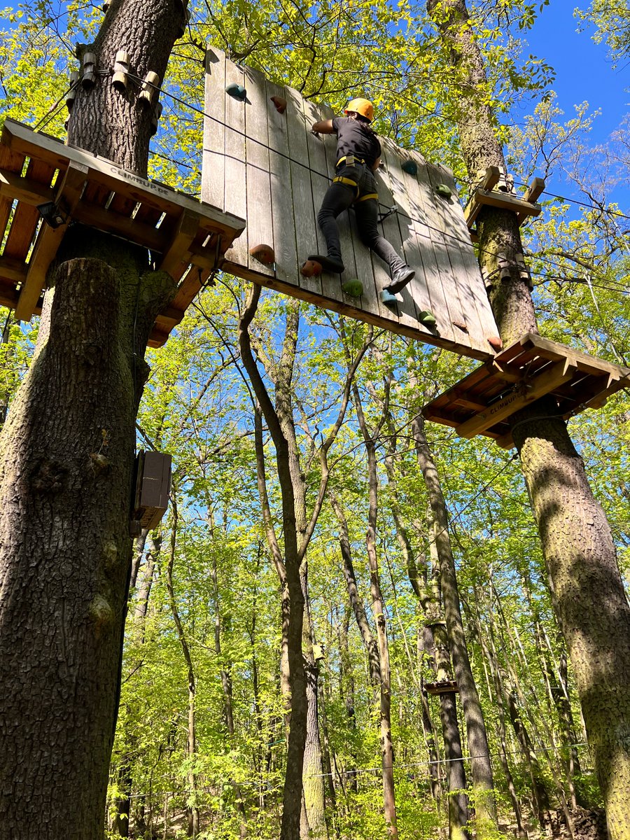 Hivemind Technologies AG ☁️💾 tweet media