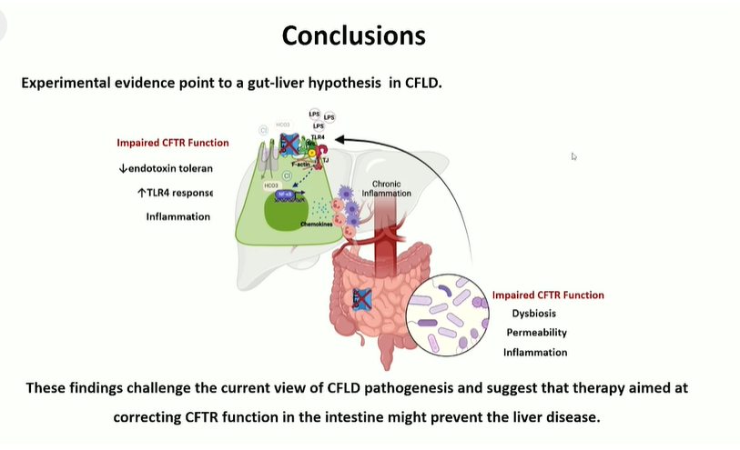 EASLedu's tweet photo. Challenging the current view of the cyctic fibrosis related liver disease #EASLMono
👉Moving from the secretory defect hypothesis to a gut-liver hypothesis
@EASLNews
#LiverTwitter #CFLD https://t.co/IPGwEIR3AW