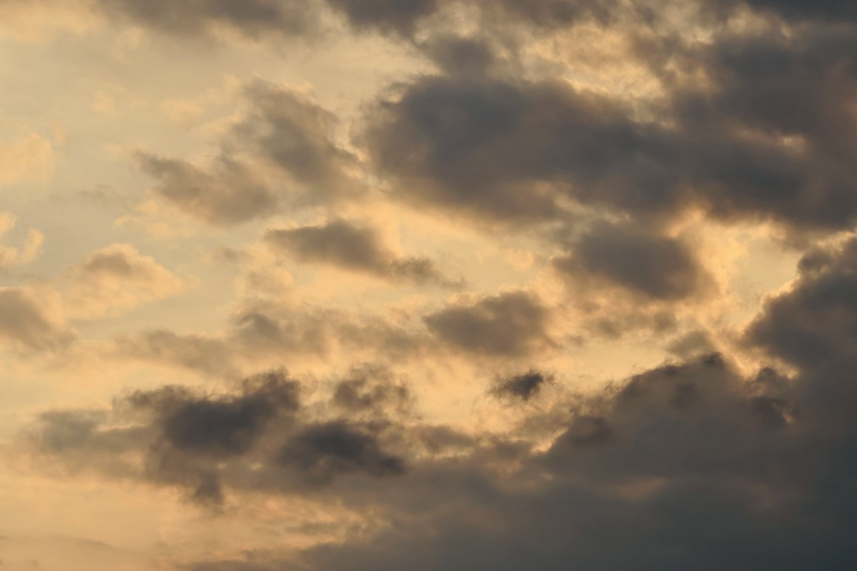 情熱的な夕焼け雲 🌆

#東村山市
#情熱的な夕焼け雲
#夕焼け雲
#夕焼け
#夕日
#夕景
#太陽
#雲
#空
#花鳥風月
#sunsetclouds
#passionate
#sunset
#clouds
#twilight
#sun
#sky
#花鳥風月