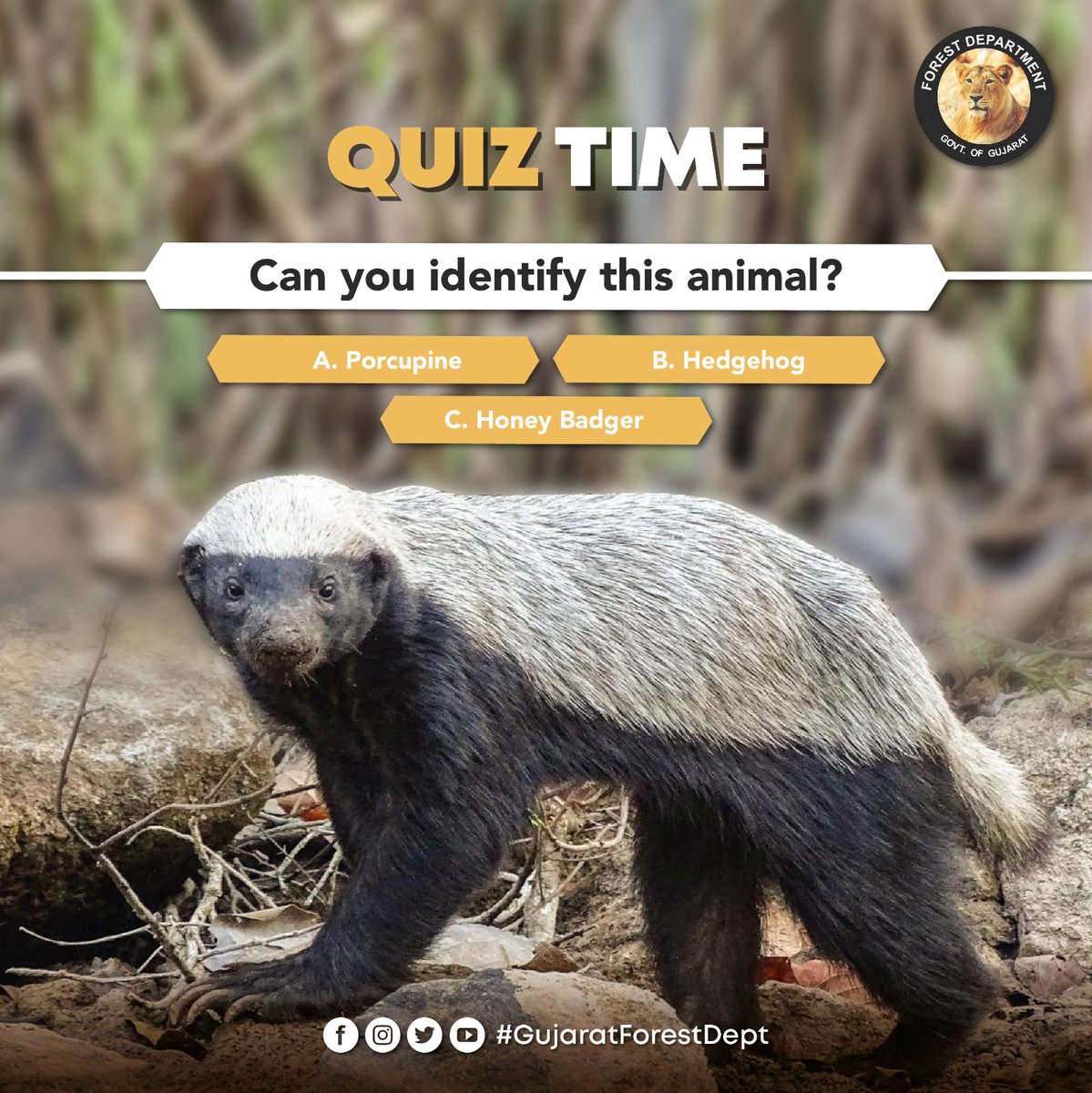 Guess the Wildlife Challenge! Can you identify this adorable creature? 🌿🐾 Take a closer look and tell us which animal is featured in this picture.

📷 Pinkesh Tanna

#WildlifeQuiz #NatureChallenge #GuessTheAnimal