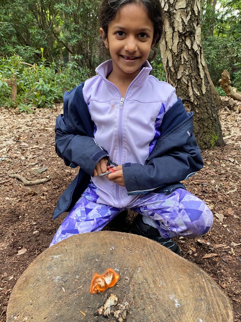 DHSPrep's tweet photo. More #bushcraft for Year 3 as they  learn how to light a fire using a #firesteel 🔥 @DukesEducation  @Wildchild_uk1 #outdoors #adventure #challenge #survival https://t.co/EfabLX9Lae