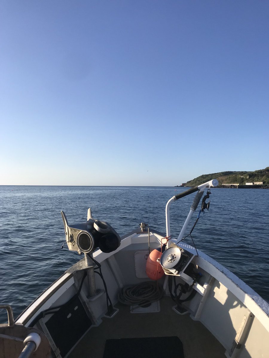 Morning all, this is more like it. Been a long time coming 🥴🦞🦞🦀#BeKind. If not keep quiet 🤫