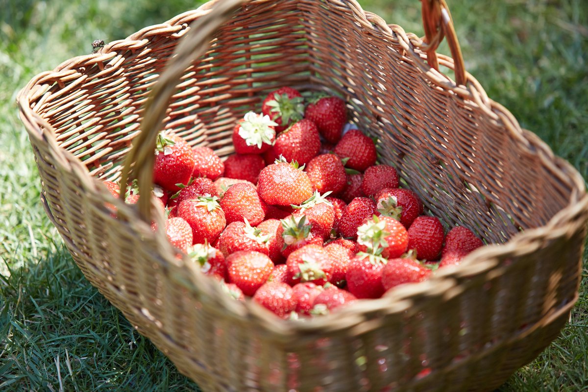 Hero AG successfully issues Swiss Franc hybrid bond: hero-group.ch/en/hero-ag-suc…