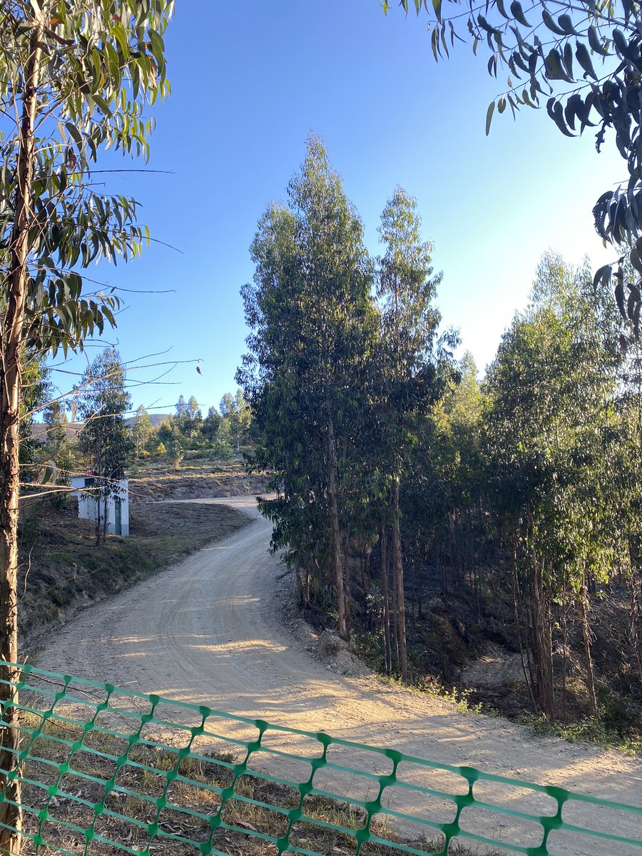 mariapborges's tweet photo. @pinhoquinto Está um bom dia para estar no monte! https://t.co/cpN3F0zjac