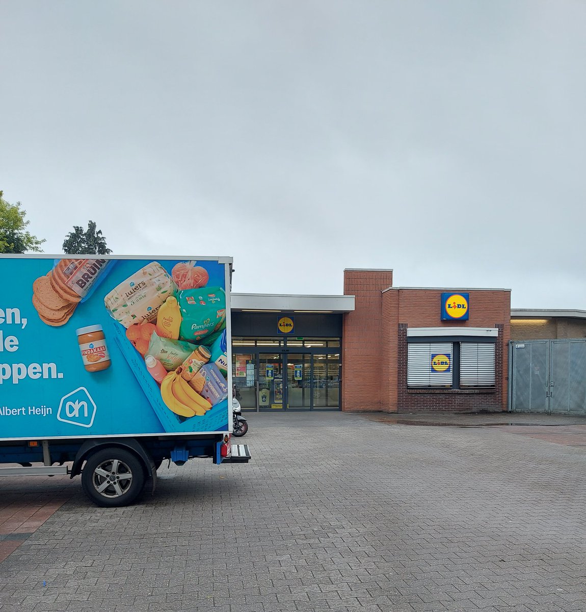 Marina Alings tweet media