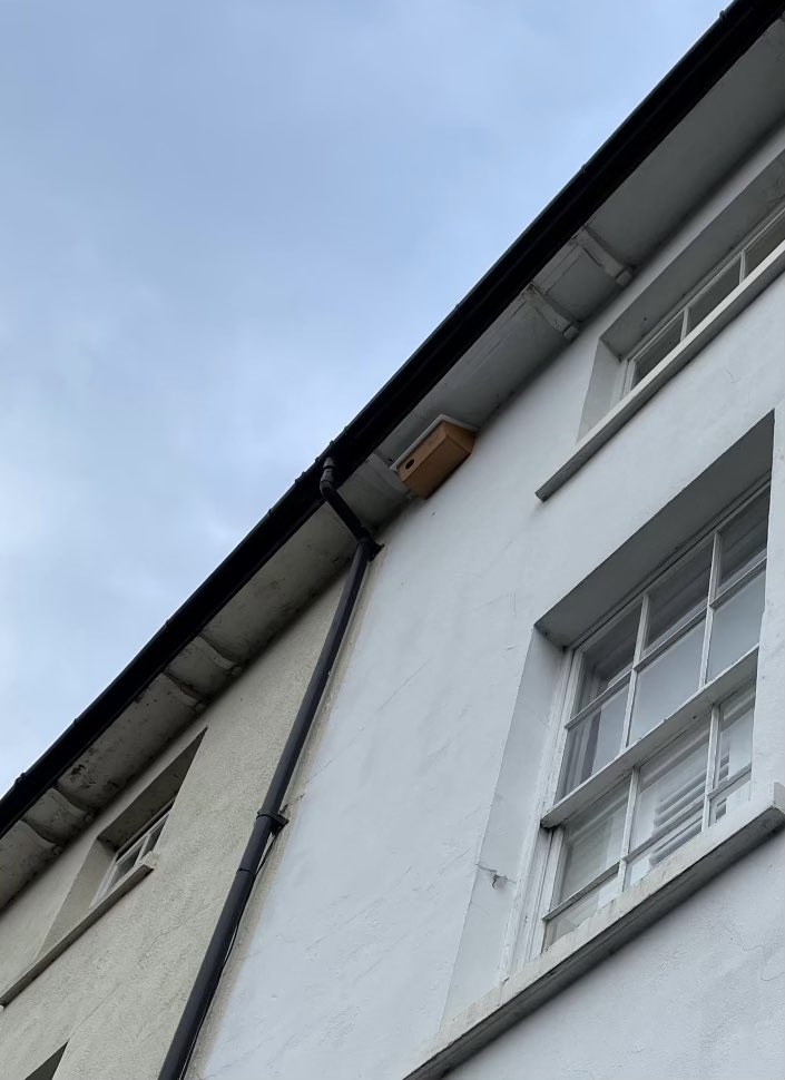 DorkingSwifts's tweet photo. Happy Friday! Another swift box goes up! Still waiting for the rest of our Dorking Swifts to return, hopefully they’ll find there way to this new home @MandaSlaterFund 
@swifts_uk @swiftsweek https://t.co/3FYC07in0m