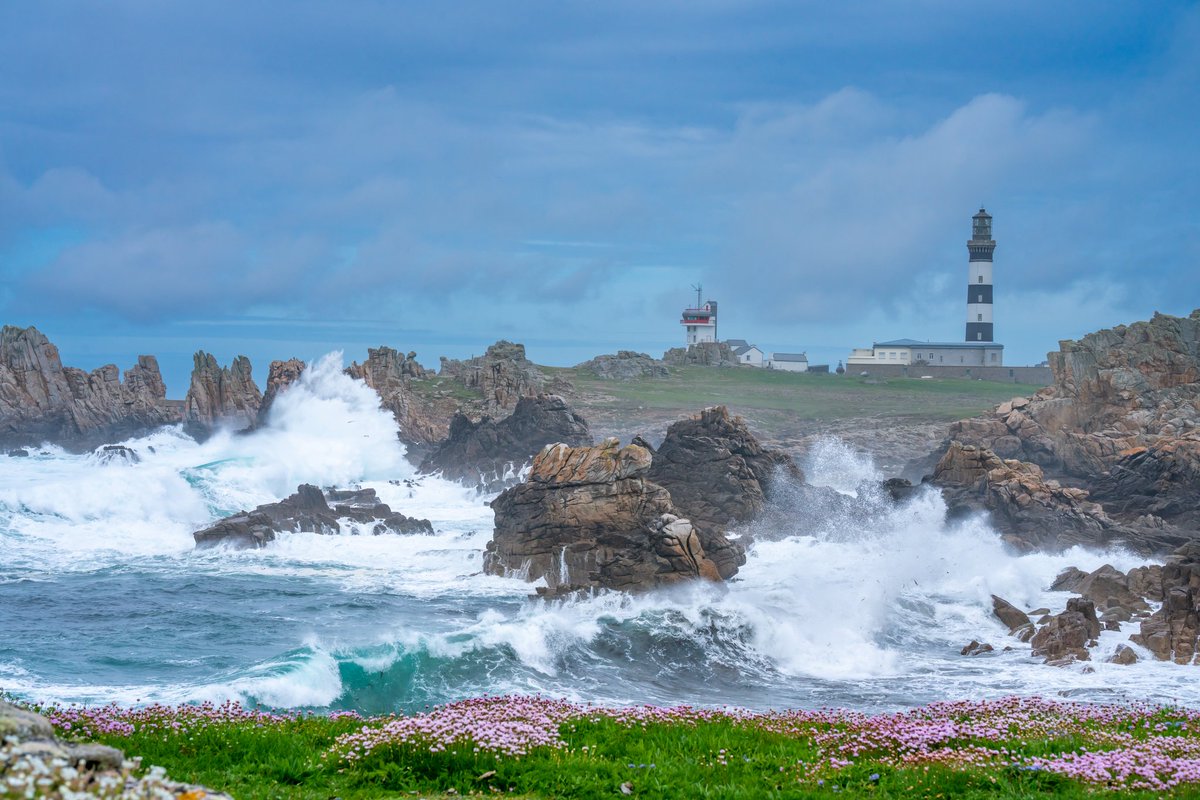 Breizhhollgaret tweet media