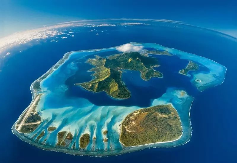 Puerto ®️icco tweet media