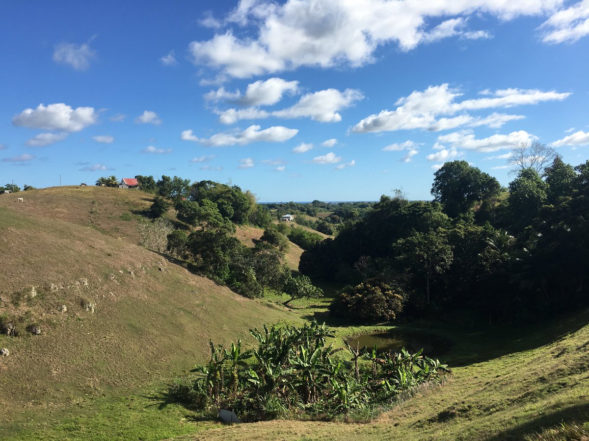 Puerto ®️icco tweet media