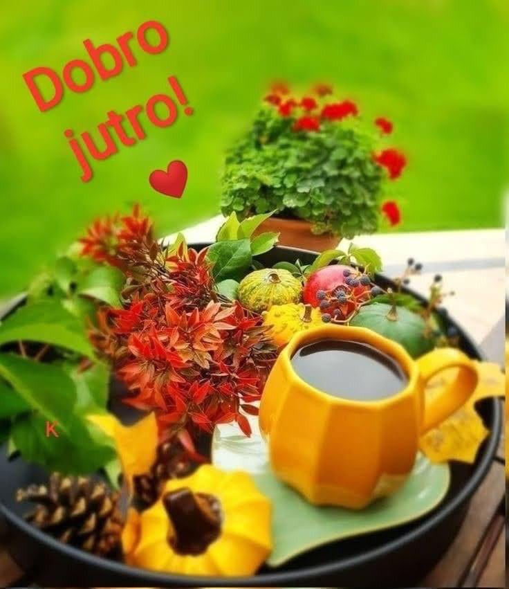 VojkicV's tweet photo. @ZeljkaMamic Dobro jutro!☕️☕️🍀☀️💐🌹😘 https://t.co/34A2AKoI00