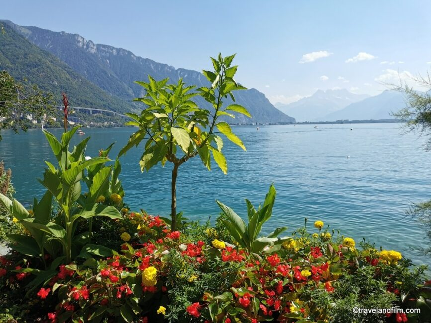 nidovirus2023's tweet photo. ⌛️⌛️⌛️Tick-tock⏲️⏲️⏲️! 
📢J-2 until our @nidovirus2023 #Symposium in #Montreux🇨🇭🇨🇭🇨🇭! Join us for a dynamic exchange with top #speakers in the field of #Nidovirology. Be a part of this exciting opportunity🥰 https://t.co/4POOu17fkY