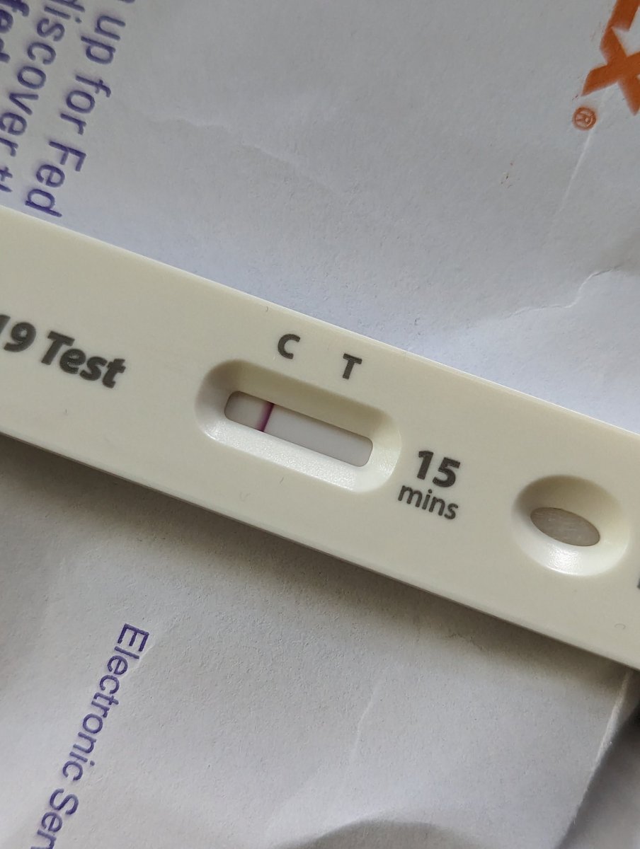 ლ(=ↀωↀ=)ლ tweet media