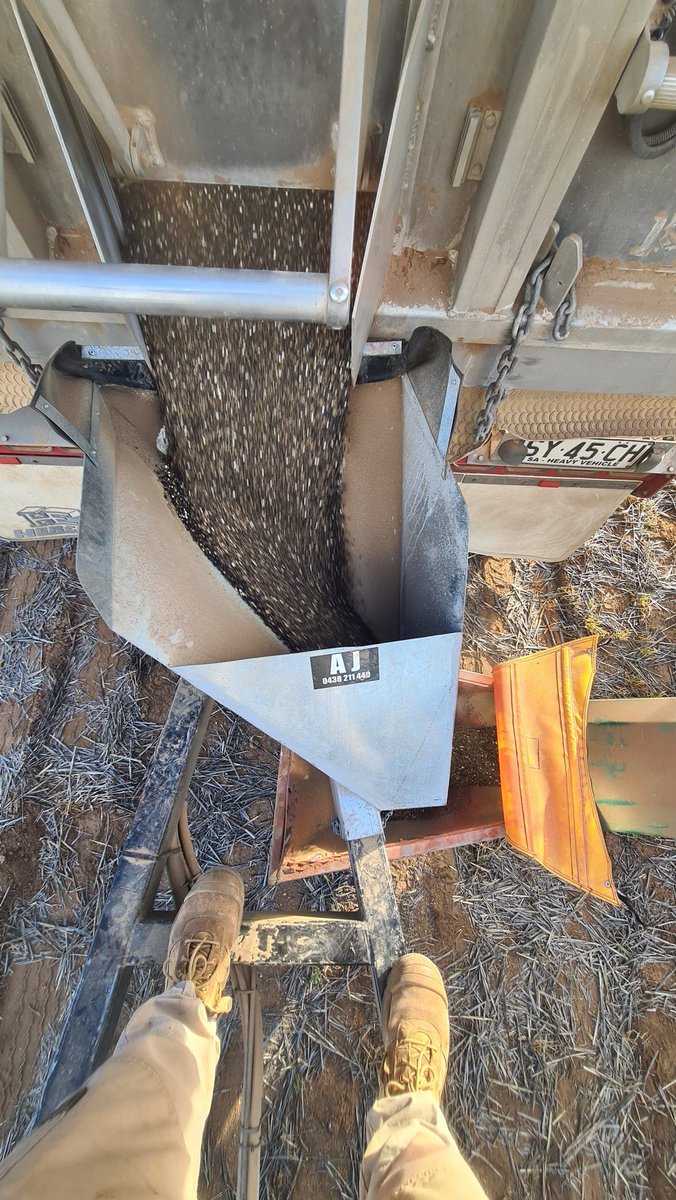 Chris Moloney tweet media