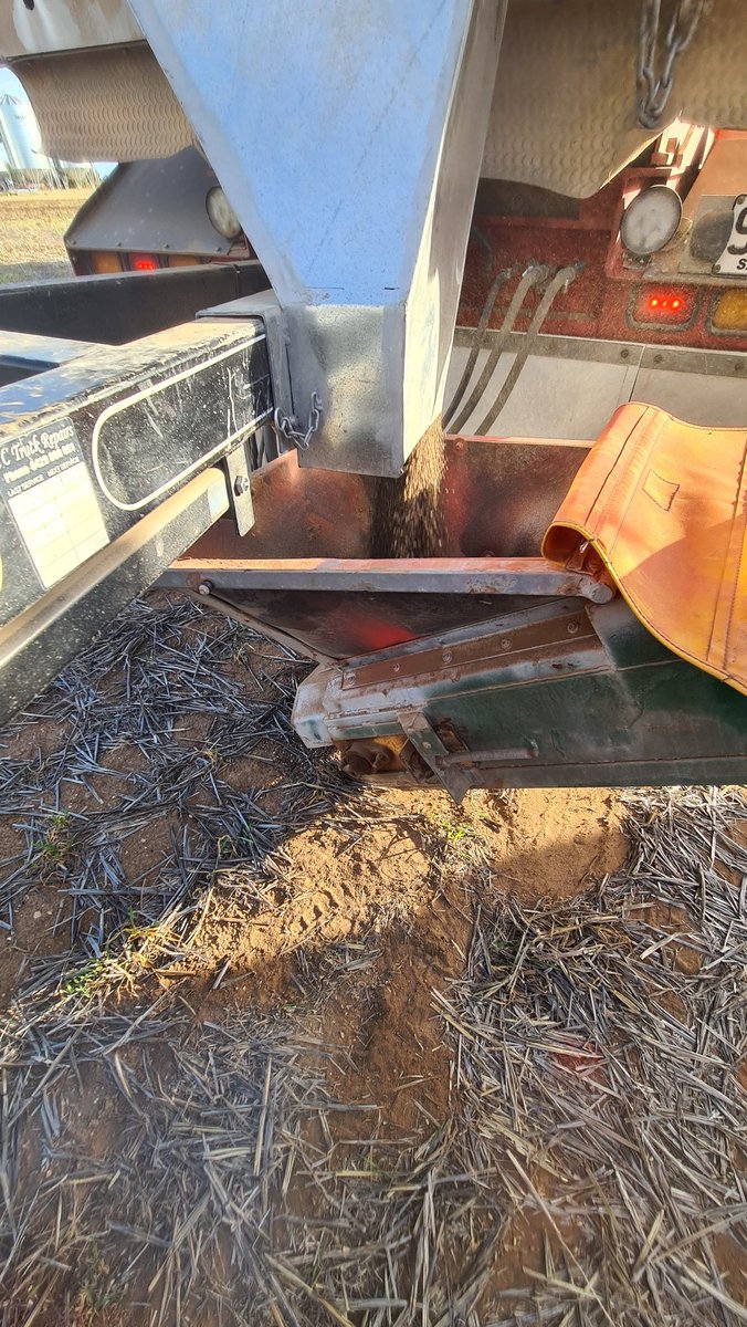 Chris Moloney tweet media