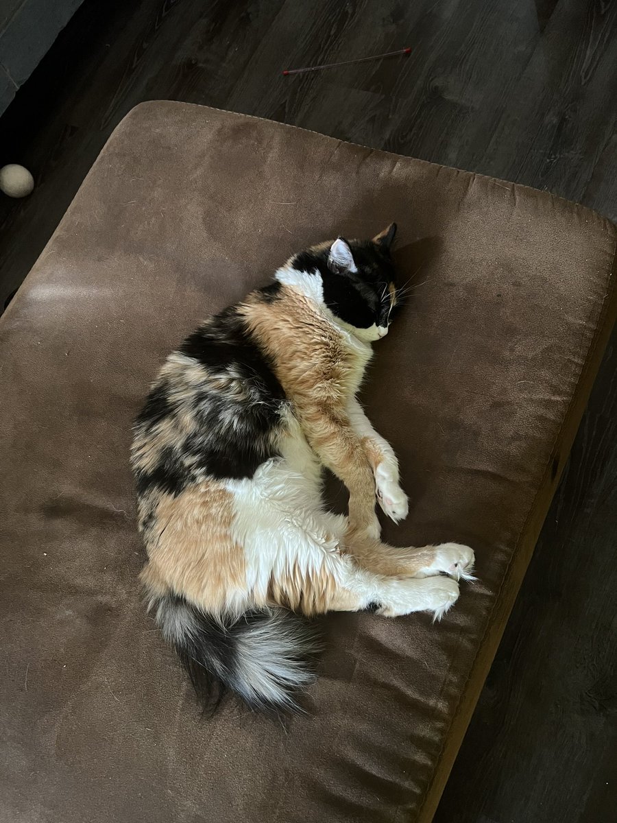 napalmxking's tweet image. Acute angle