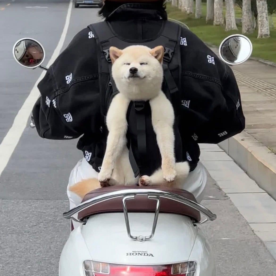 lovx11_very's tweet photo. 진짜 엄청나게 행복해지는 짤 봄 https://t.co/Z8RUV3vBg4