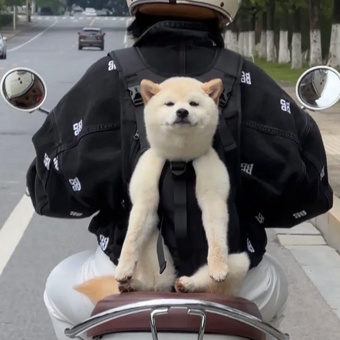 lovx11_very's tweet photo. 진짜 엄청나게 행복해지는 짤 봄 https://t.co/Z8RUV3vBg4