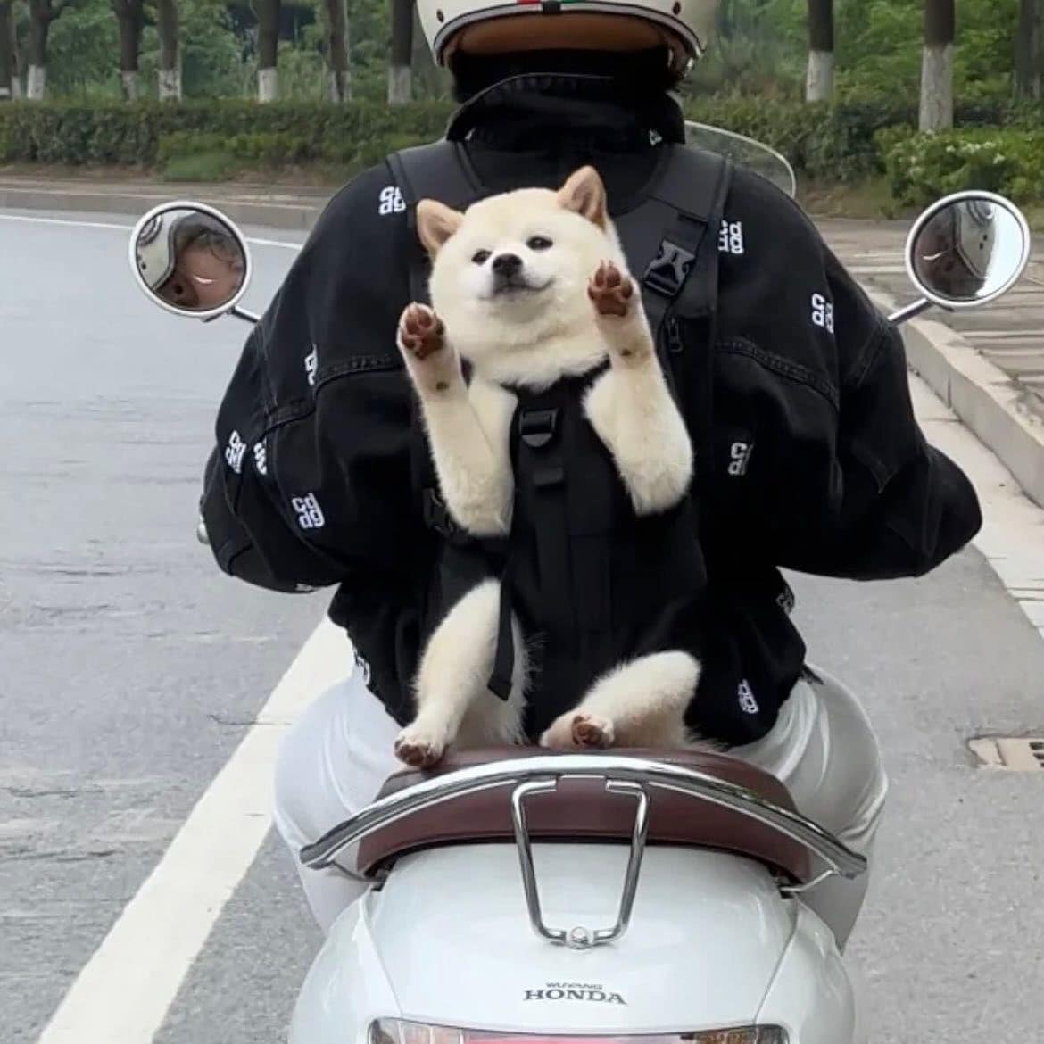lovx11_very's tweet photo. 진짜 엄청나게 행복해지는 짤 봄 https://t.co/Z8RUV3vBg4
