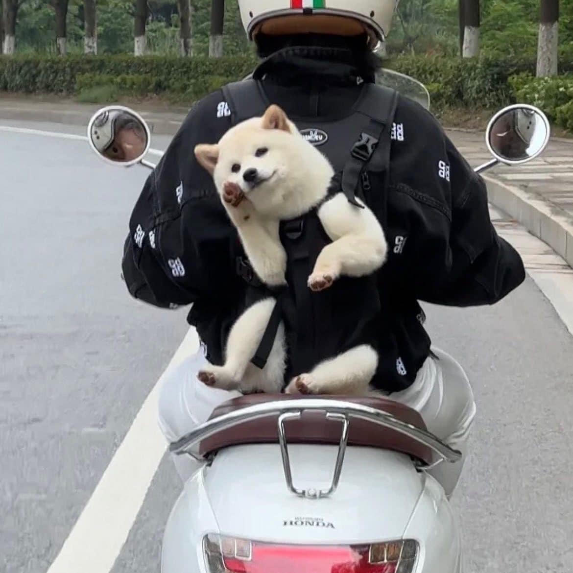 lovx11_very's tweet photo. 진짜 엄청나게 행복해지는 짤 봄 https://t.co/Z8RUV3vBg4