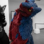 Photo by ShockzY / Xenar (@ShockzY_)