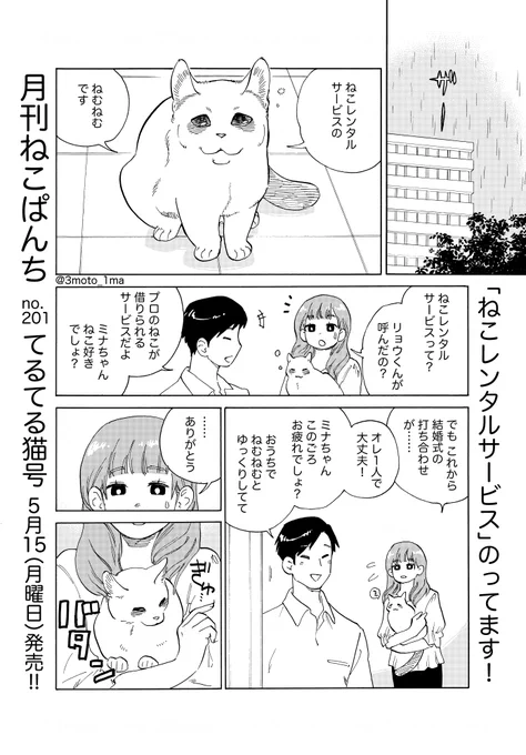 月刊ねこぱんち発売です!「ねこレンタルサービス」からチラ見せ!