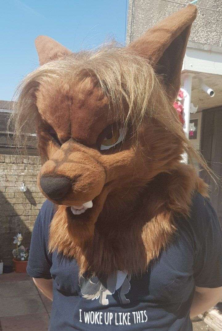 New #fursuit review:
[YES] Glyn Werewolf Head by @CCDinoFursuits

Read it here:
fursuitreview.com/r/yes-glyn-wer…