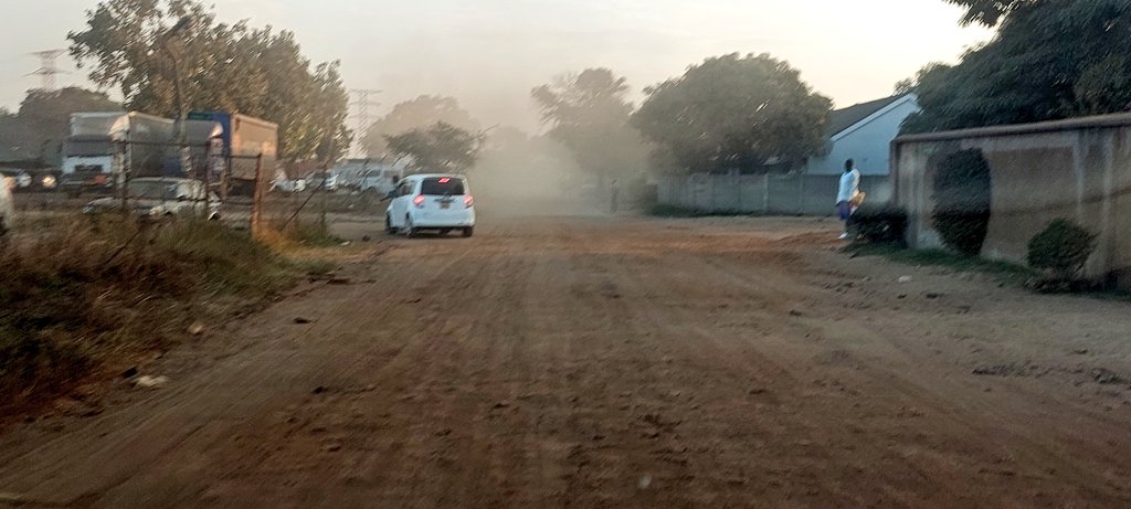 🇿🇼 F Chiposi tweet media