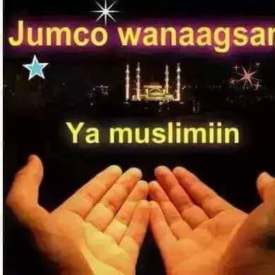 Mukhtar Labo Nin (@nin_labo) on Twitter photo 