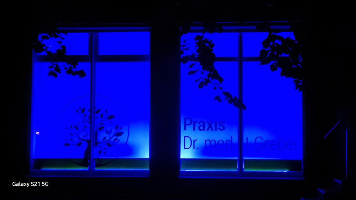 Als Zeichen der Awareness und der Solidarität mit #MECFS-Betroffenen, werden am heutigen #MEAwarenessDay Gebäude und Fenster blau angestrahlt.

#LightUpTheNight4ME