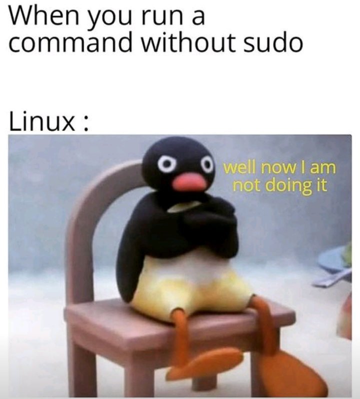 EdenTechie's tweet photo. When you try to boss around Linux without giving him his rightful title - Sudo

#BaldAI #Linux #Techmemes #AI https://t.co/s7rOuZI6H3