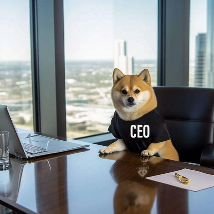 CEODOGEBSC's tweet photo. DOGE CEO is going into solo mode, and we're giving away FREE meme coins to all our supporters!  🤑🌟

Don't miss out on the chance to join the DOGE CEO one-man show!  🐶🎭💰

#DOGE #MemeCoinMania #SoloAct 🚀🐾 https://t.co/n6kPa4kVcX