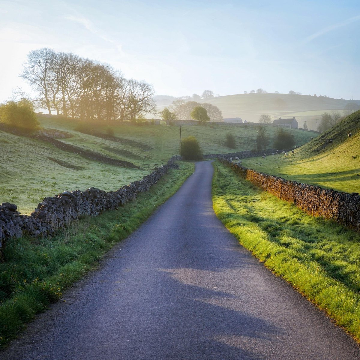 peaklass1's tweet photo. I wish I could live in May forever, stuck in a bubble of new green and dewy mornings. The killer alarm calls are awful, true, but as soon as you step outside, hear the birdsong and inhale the day, it's hard to feel anything other than the luckiest person in the world. https://t.co/ondpy2emZJ