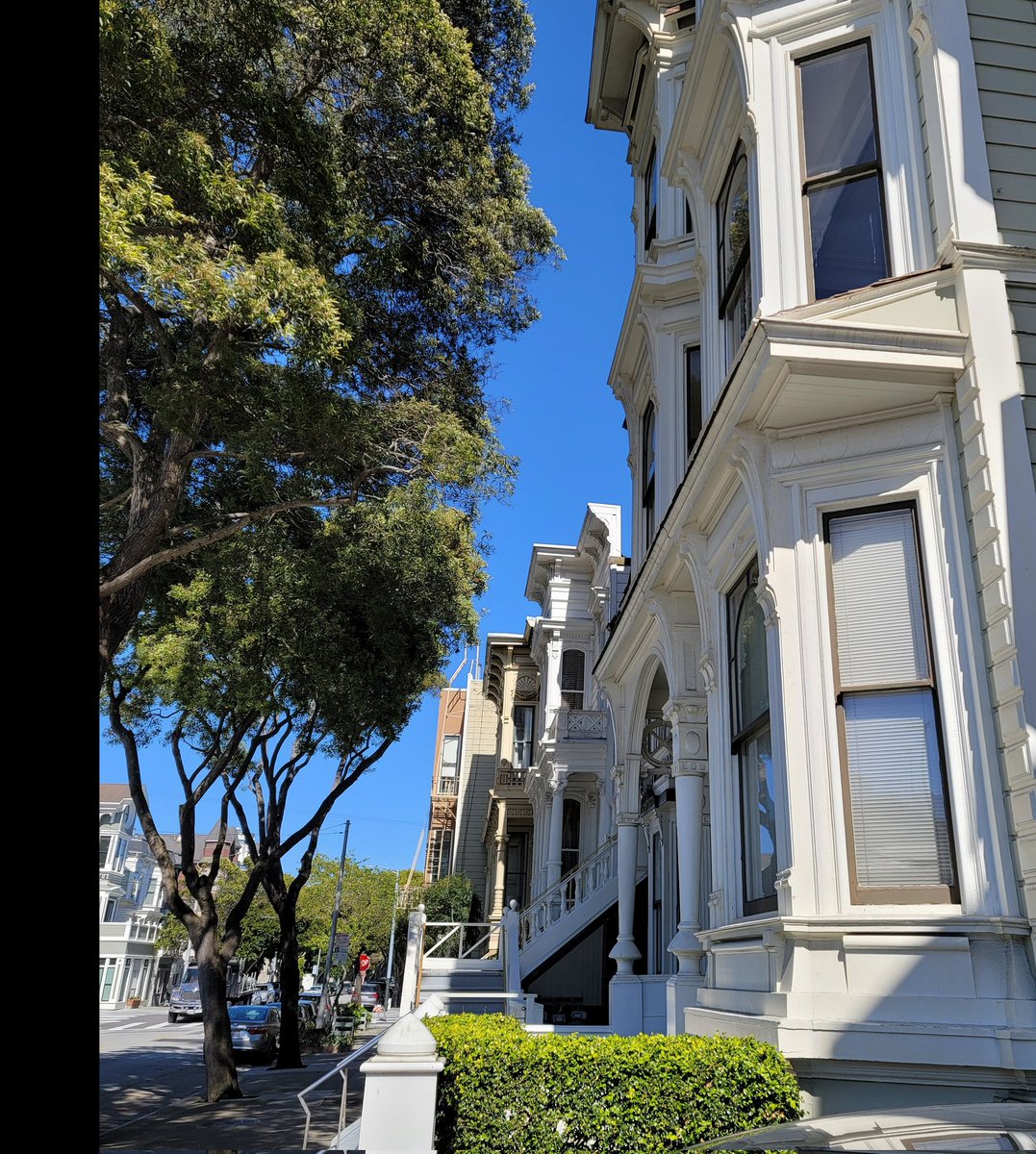 tmcleod5000's tweet image. These are the houses in my neighborhood.
#sf #sfarchitecture #sfvictorians #westernadditionsf