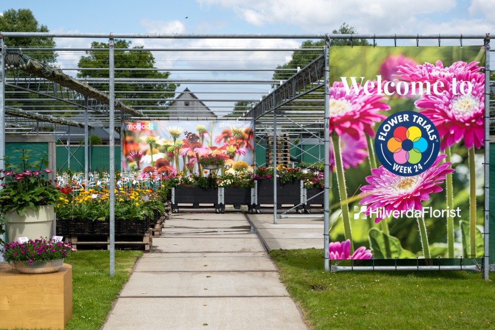 Visit #FlowerTrials® 2023 at #HilverdaFlorist and be the first to see our brand new Pot, Patio &amp; Garden assortment in full bloom! Be amazed by the beauty of our extraordinary varieties in a colourful indoor and outdoor show. 

hilverdaflorist.com/news-item/visi…
