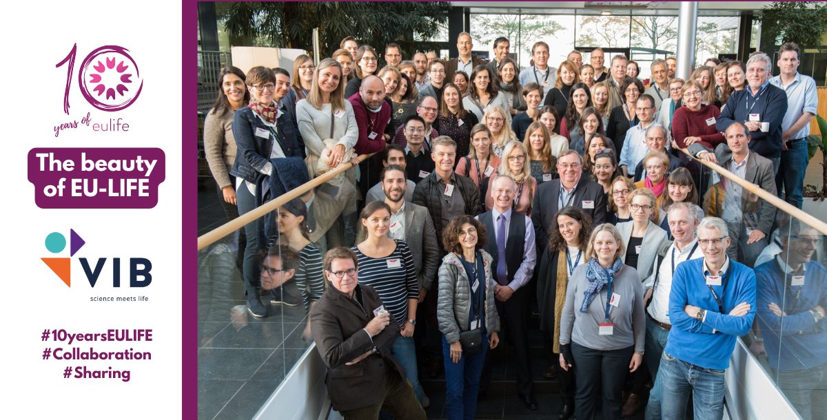 💥We’re celebrating #10yearsEULIFE!

"Thanks to our membership in EU-LIFE, <a href="/VIBLifeSciences/">VIB</a> has access to the best policies and practices designed and implemented by peer institutes in Europe, which strengthens us as we learn from each other," said Jo Bury, Managing Director #VIB