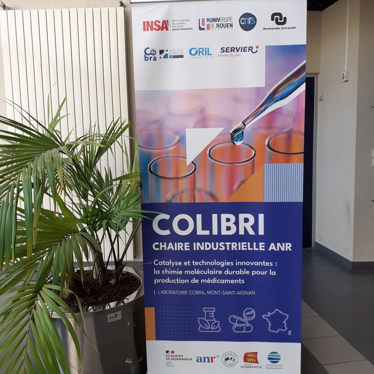CarnotI2C's tweet photo. [RECRUTEMENT]#Oril Industrie Servier - Lab COBRA - Carnot I2C - Chaire indus #COLIBRI - Thèse et Post-doc: https://t.co/nbVwNG0CAu; https://t.co/Lk1lh9jMAI; https://t.co/sxpFib45LJ

thomas.poisson@insa-rouen.fr ,  jean-francois.briere@insa-rouen.fr, cedric.schneider@univ-rouen.fr https://t.co/bcQRPpg7cs