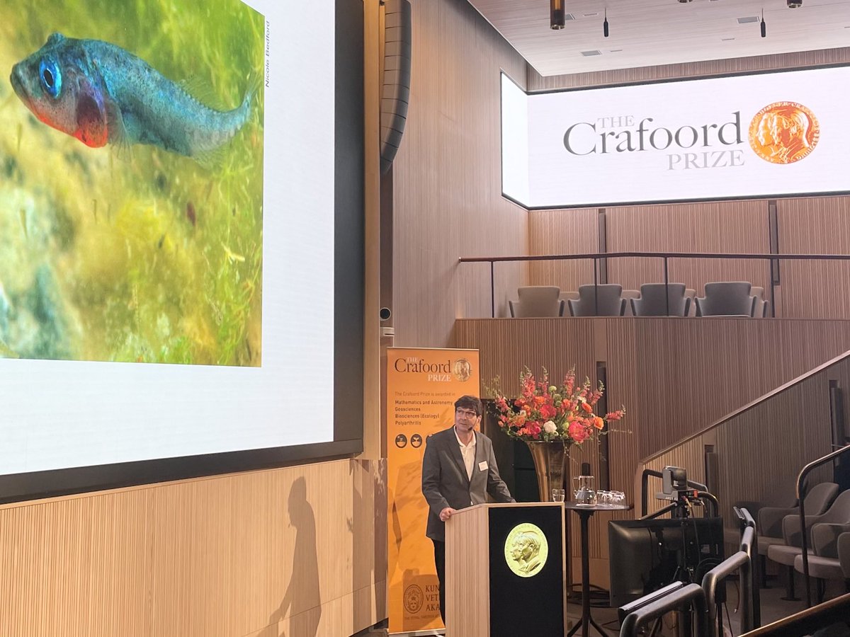 What an absolute treat to see Dolph Schluter receive the #CrafoordPrize in Biosciences from the Royal Swedish Academy of Sciences for his lifetime achievement studying ecological speciation. A great year for evolutionary biology!