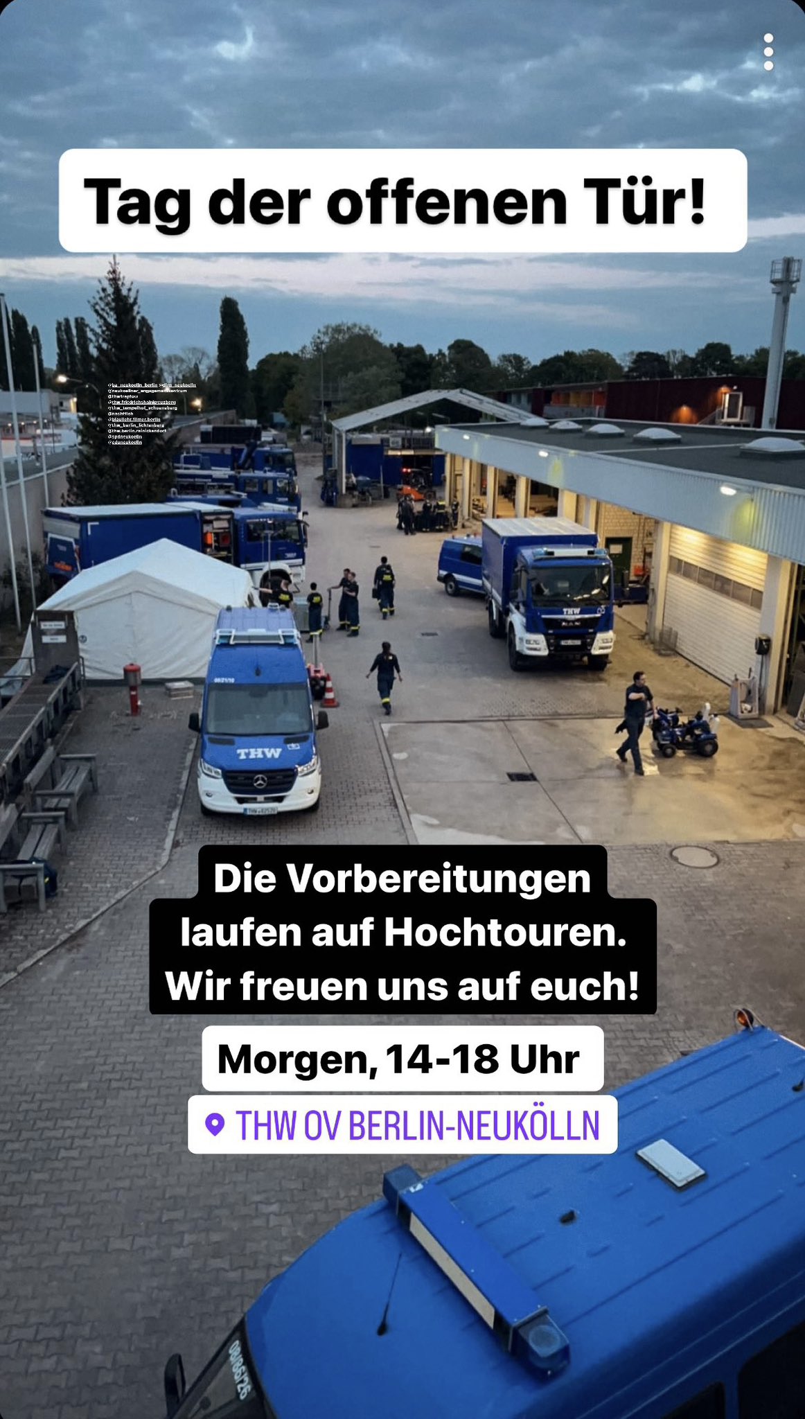 Mandschurei Lotus Violine Thw Tag Der Offenen T r Ironisch Degenerieren mandschurei-lotus-violine-thw-tag-der-offenen-t-r-ironisch-degenerieren