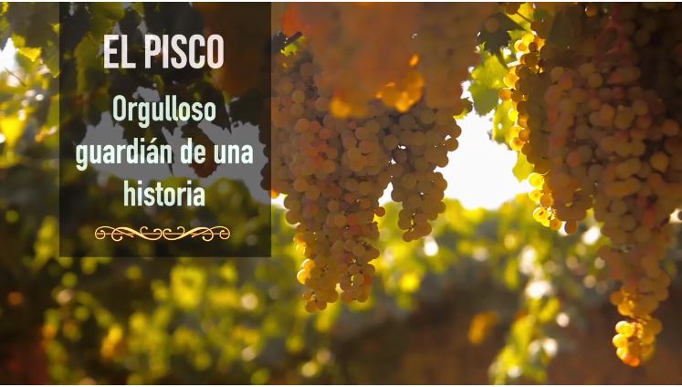 wsa_spirits's tweet photo. Next week we change continent again, back to Latin America to discover #Pisco, a denomination of origin granted in 1931, the oldest of America.
#WorldOfSpirits https://t.co/SM2Madwb5t