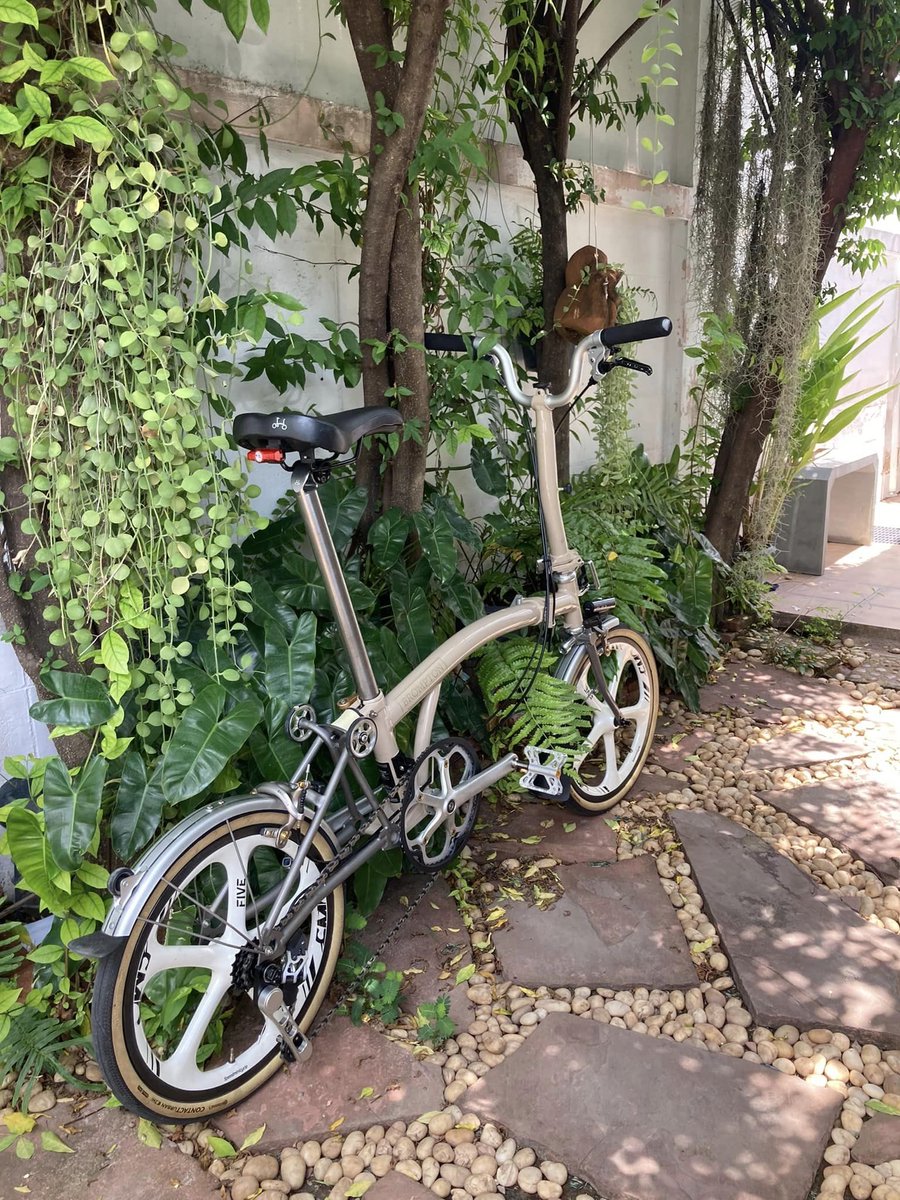 It is fresh when Barbour meet the white wheel. 😄

#smcspeedminicycle #speedminicycle #smcwheels #smcwheelset #brompton #bromptonbicycle #bromptonbike #bromptonbikes #bromptonlovers #mybrompton #bromptonindonesia #bromptonsingapore #bromptonthailand #bromptonphilippines