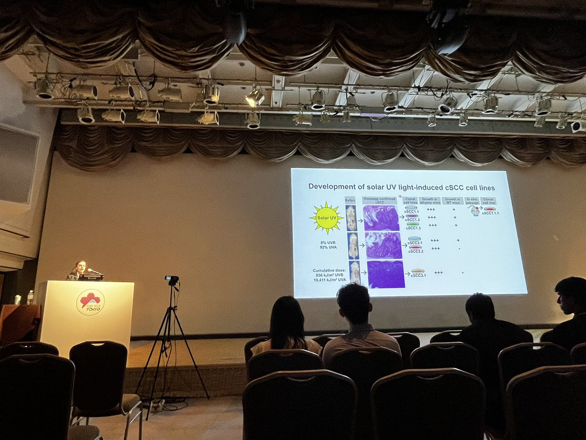 KTHastingsMDPhD's tweet photo. Thrilled to share that @AnngelaAdams  from @uazmedphx presented her work on T cell recognition of UV-induced neoantigens in cSCC at #ISID2023Tokyo #dermtwitter https://t.co/XXNjuJ5Zs2