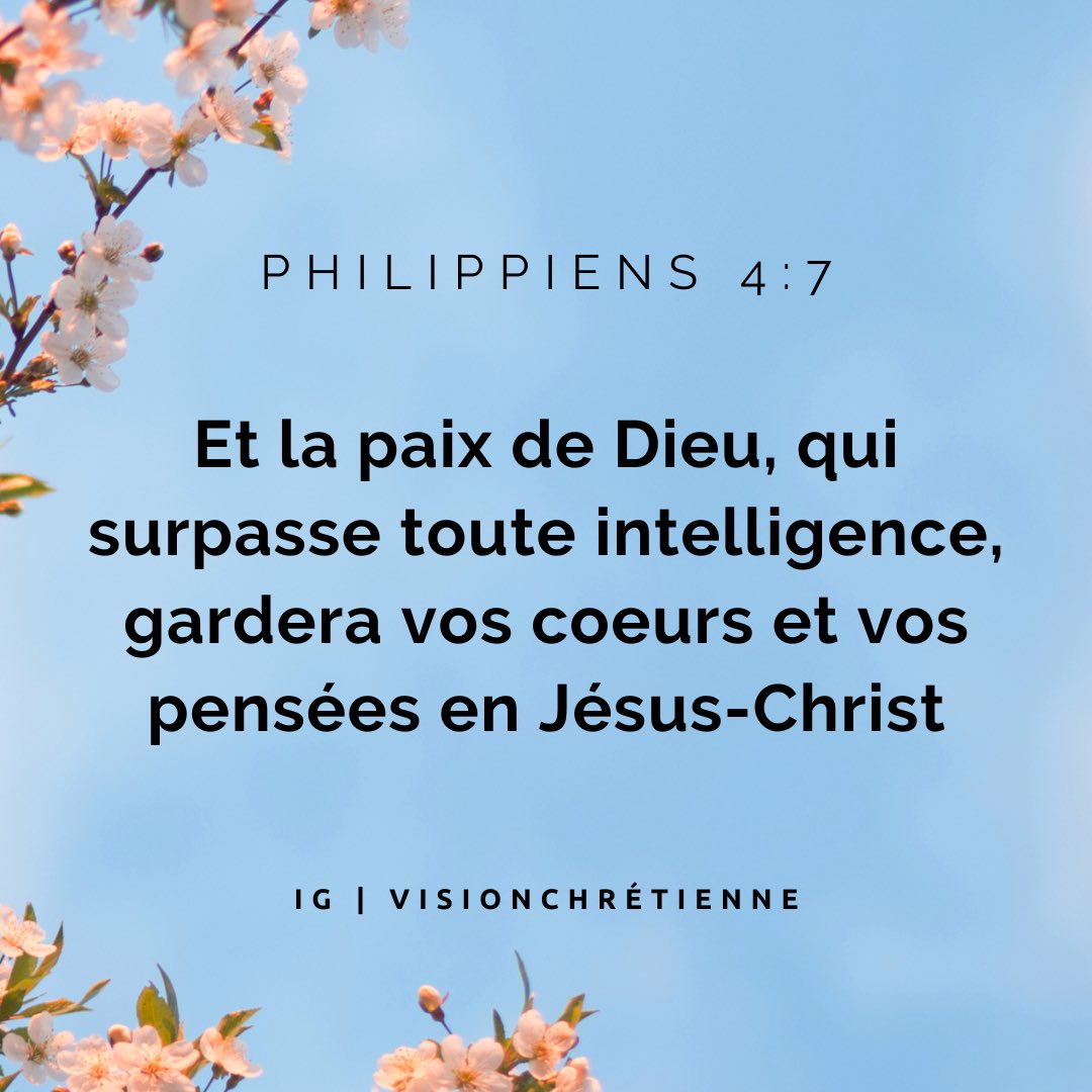 Vision_VC tweet picture