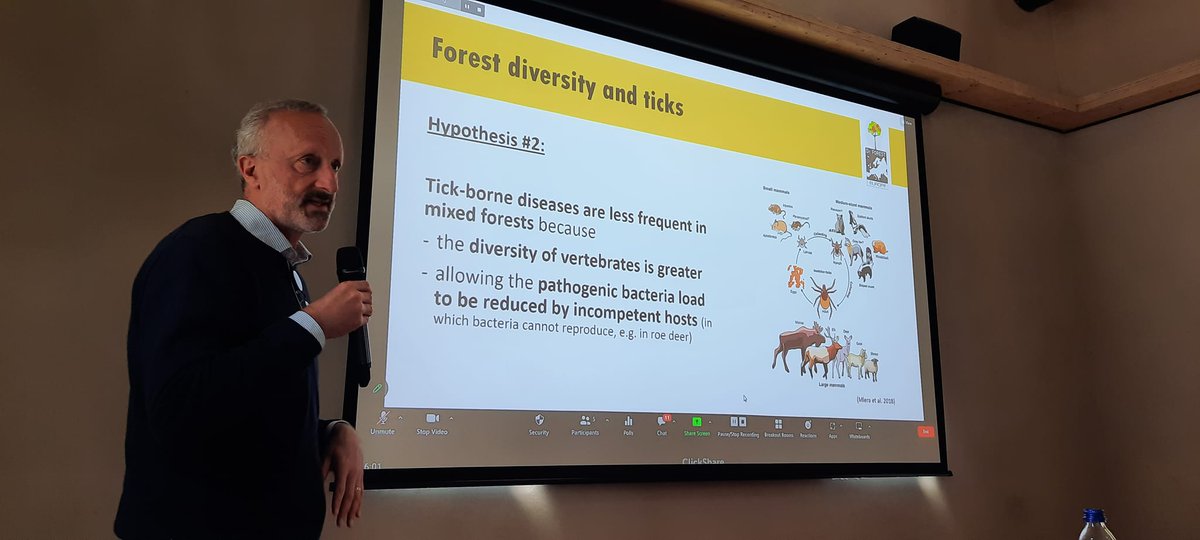 Competence matters when it comes to ticks, showed Dr.Herve Jactel.
#diseasevectors #ticks #publichealth #treediversity #healthrisk