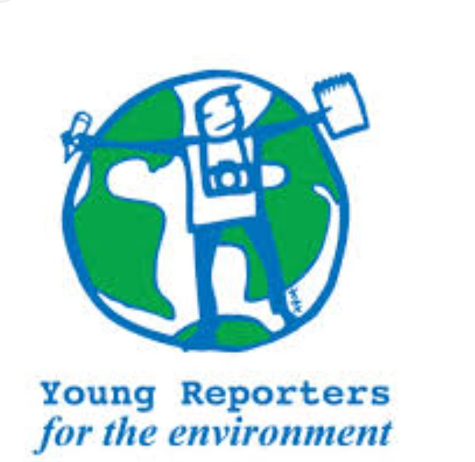 Congratulations to Lilian Gleave for receiving 1st place in the YRE, Young Reporters for the Environment, secondary school category. This is our 3rd year achieving this prize. @KinsaleComSch