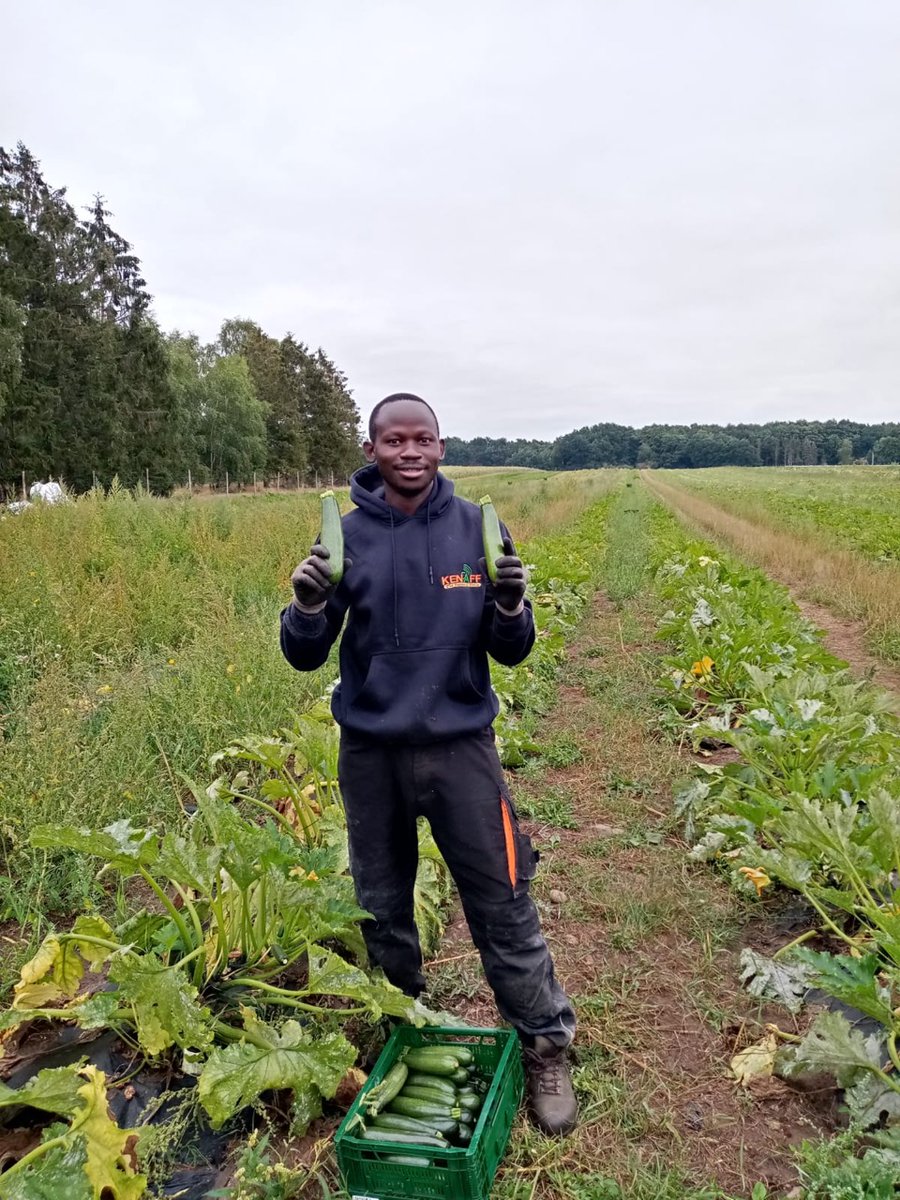 Meet Eric Kashara, one of the KENAFF #IYFEP 1st cohort participants and a youth beneficiary of the exchange programme. 

Today, the AHA/GIZ team is conducting an impact assessment on Mr. Kashara's farm in Siaya County.

#YouthInAgric #KENAFFYDP #Agriculture